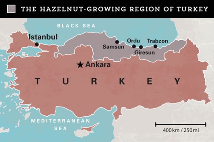 hazelnut map